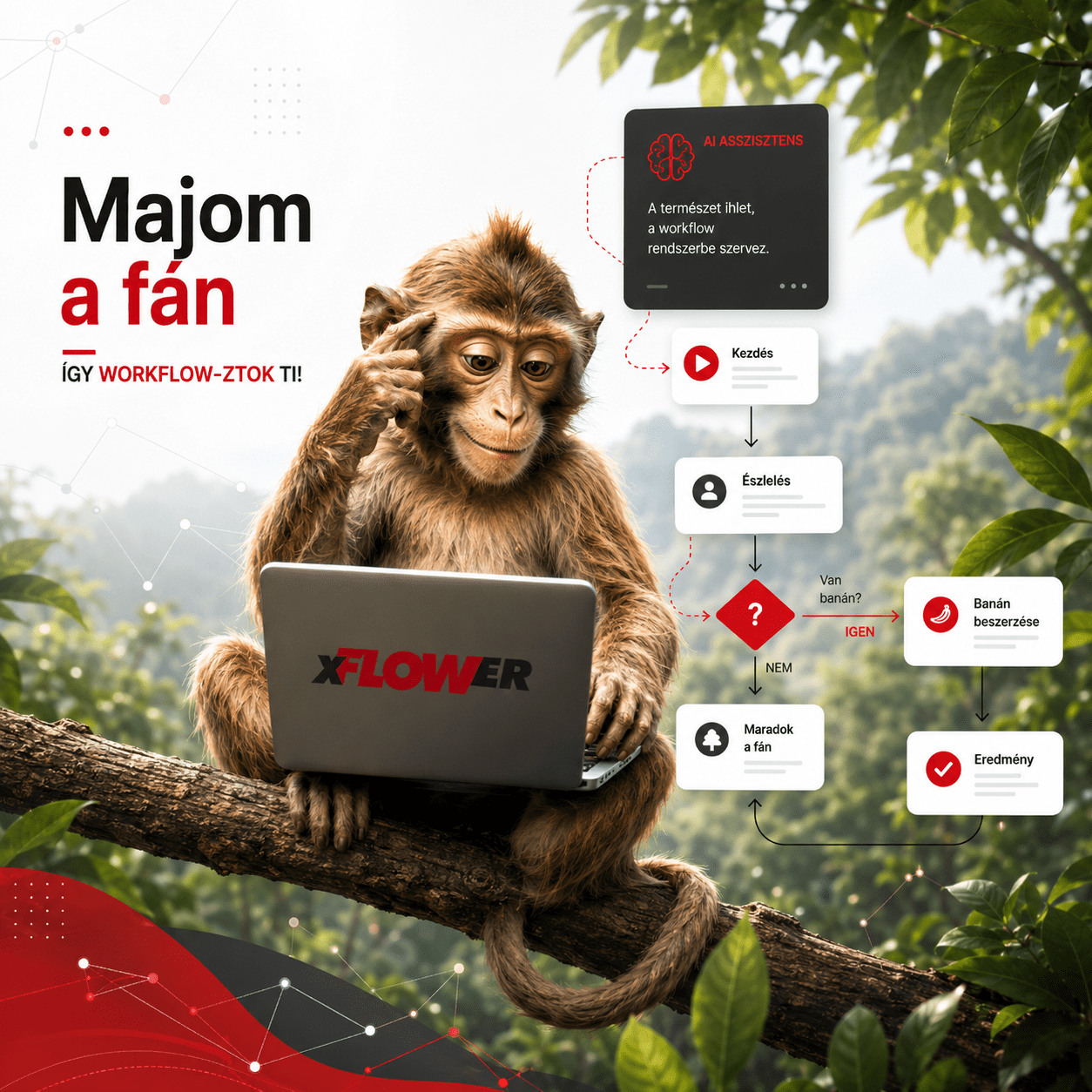 Majom a fán: így workflow-ztok ti! – xFLOWer.ai